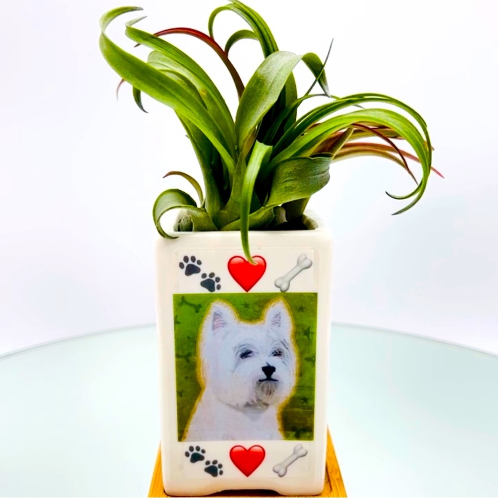 WEST HIGHLAND WHITE TERRIER DOG Art Hand Crafted Home Decor Planter Office Gifts